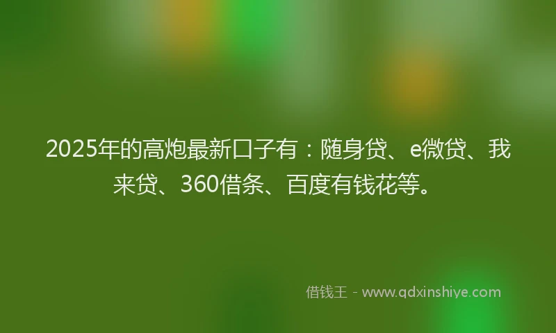 2025年的高炮最新口子有：随身贷、e微贷、我来贷、360借条、百度有钱花等。