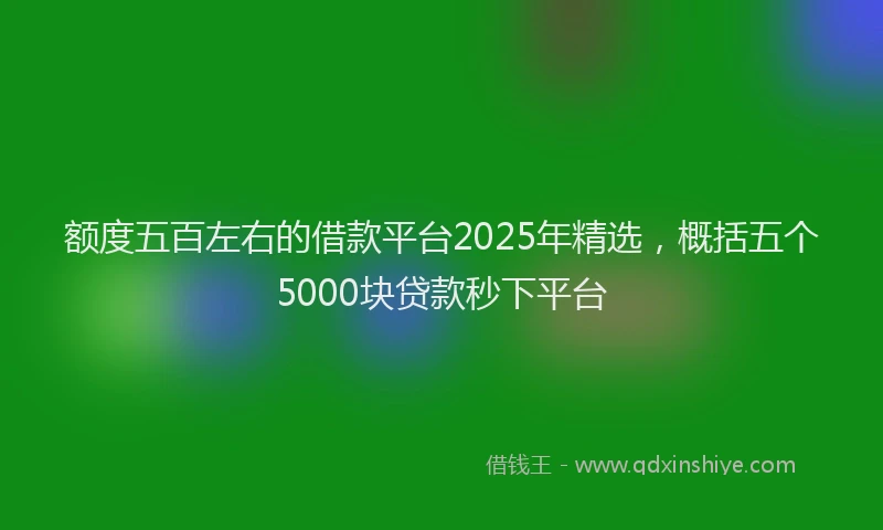 额度五百左右的借款平台2025年精选，概括五个5000块贷款秒下平台