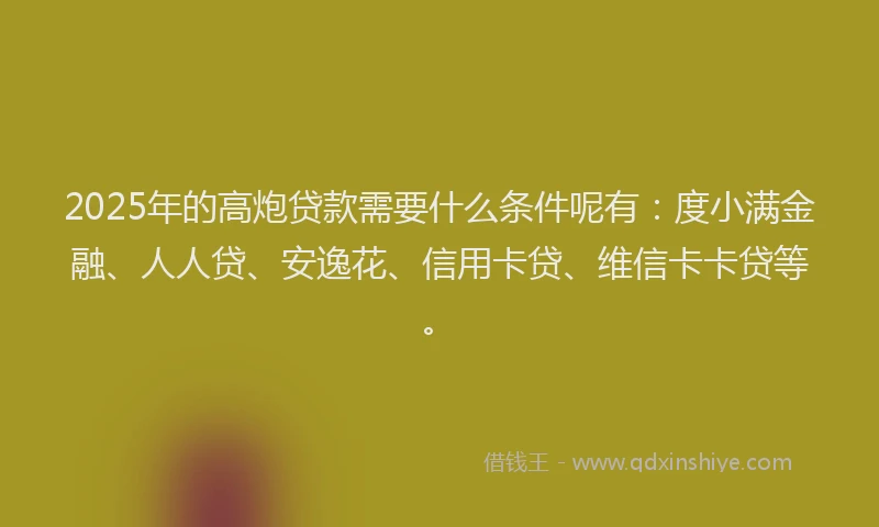 2025年的高炮贷款需要什么条件呢有：度小满金融、人人贷、安逸花、信用卡贷、维信卡卡贷等。