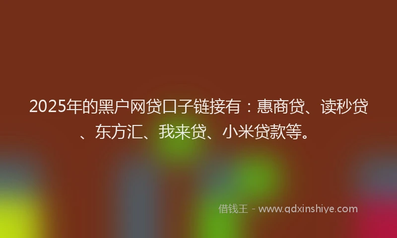 2025年的黑户网贷口子链接有：惠商贷、读秒贷、东方汇、我来贷、小米贷款等。