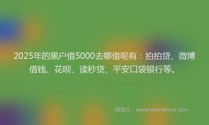 2025年的黑户借5000去哪借呢有：拍拍贷、微博借钱、花呗、读秒贷、平安口袋银行等。