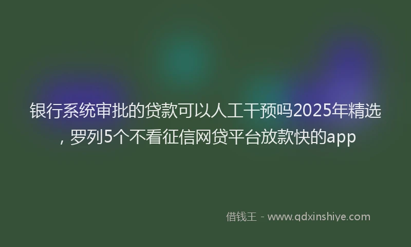 银行系统审批的贷款可以人工干预吗2025年精选，罗列5个不看征信网贷平台放款快的app