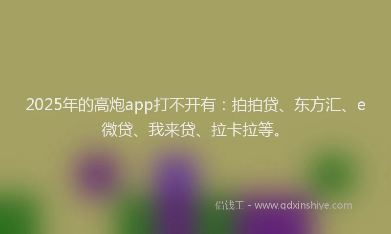 2025年的高炮app打不开有：拍拍贷、东方汇、e微贷、我来贷、拉卡拉等。