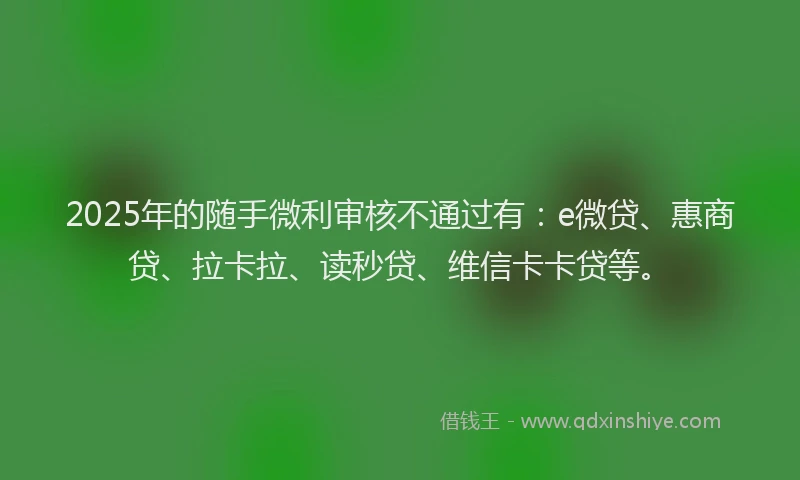 2025年的随手微利审核不通过有：e微贷、惠商贷、拉卡拉、读秒贷、维信卡卡贷等。