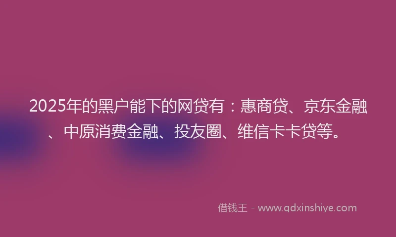 2025年的黑户能下的网贷有：惠商贷、京东金融、中原消费金融、投友圈、维信卡卡贷等。