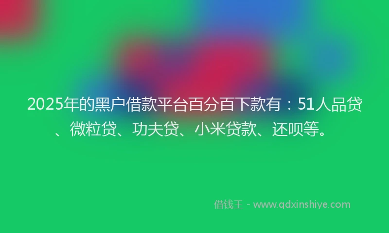2025年的黑户借款平台百分百下款有：51人品贷、微粒贷、功夫贷、小米贷款、还呗等。