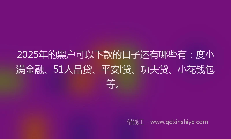 2025年的黑户可以下款的口子还有哪些有：度小满金融、51人品贷、平安i贷、功夫贷、小花钱包等。