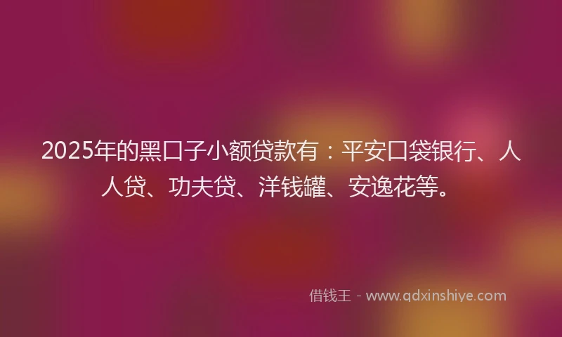 2025年的黑口子小额贷款有：平安口袋银行、人人贷、功夫贷、洋钱罐、安逸花等。