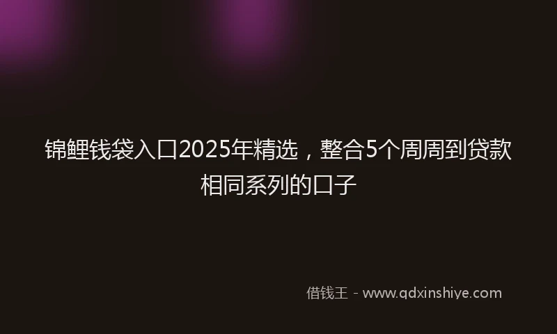 锦鲤钱袋入口2025年精选，整合5个周周到贷款相同系列的口子