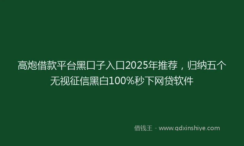 高炮借款平台黑口子入口2025年推荐，归纳五个无视征信黑白100%秒下网贷软件