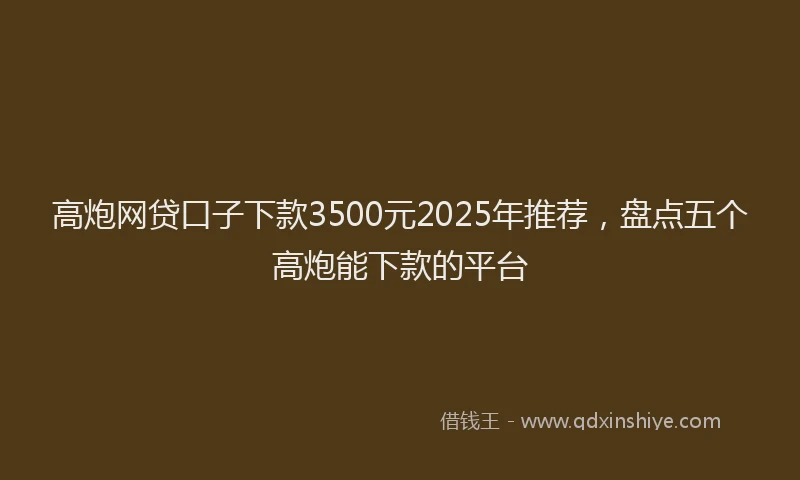 高炮网贷口子下款3500元2025年推荐，盘点五个高炮能下款的平台