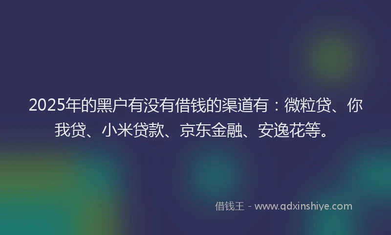 2025年的黑户有没有借钱的渠道有：微粒贷、你我贷、小米贷款、京东金融、安逸花等。