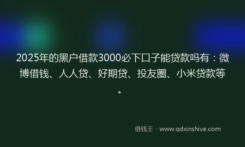 2025年的黑户借款3000必下口子能贷款吗有：微博借钱、人人贷、好期贷、投友圈、小米贷款等。