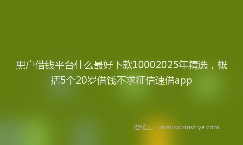 黑户借钱平台什么最好下款10002025年精选，概括5个20岁借钱不求征信速借app