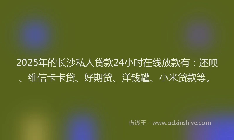 2025年的长沙私人贷款24小时在线放款有：还呗、维信卡卡贷、好期贷、洋钱罐、小米贷款等。