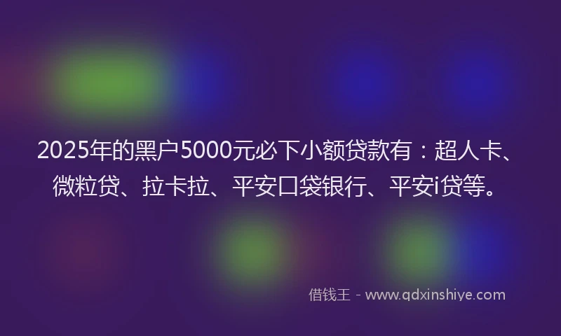 2025年的黑户5000元必下小额贷款有：超人卡、微粒贷、拉卡拉、平安口袋银行、平安i贷等。