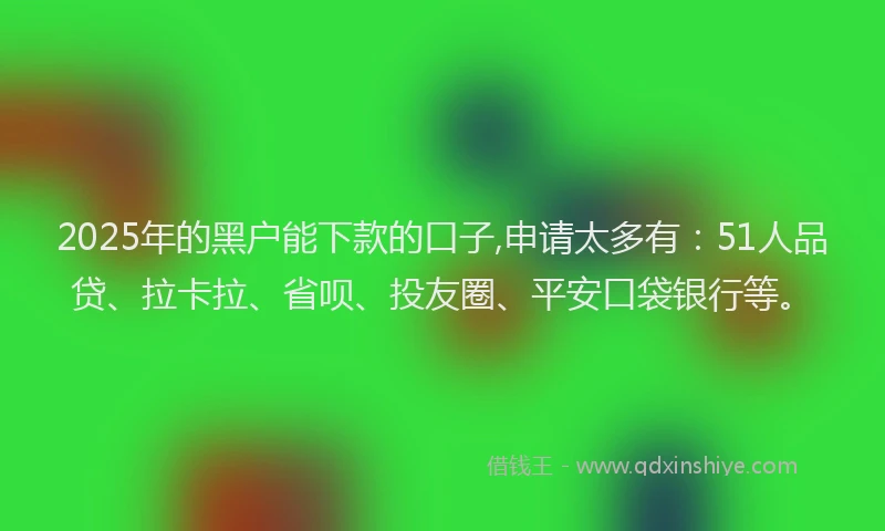 2025年的黑户能下款的口子,申请太多有：51人品贷、拉卡拉、省呗、投友圈、平安口袋银行等。