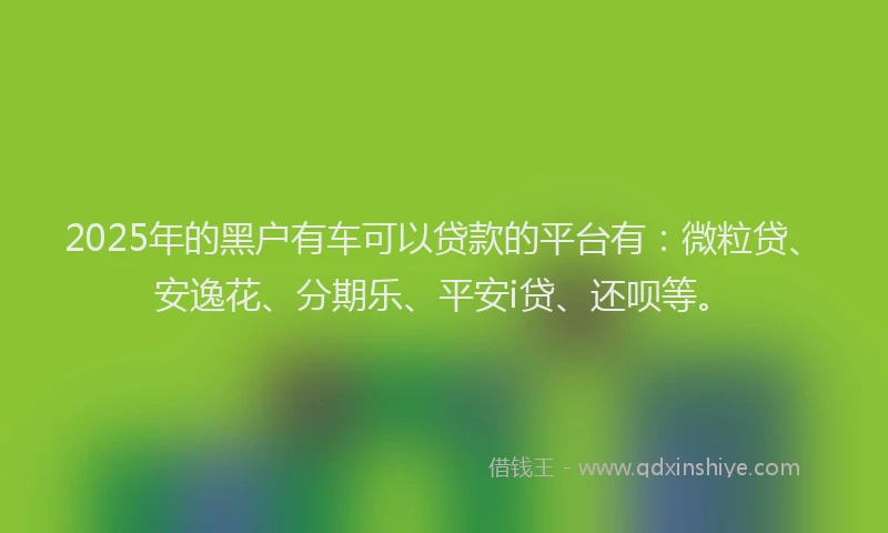 2025年的黑户有车可以贷款的平台有：微粒贷、安逸花、分期乐、平安i贷、还呗等。