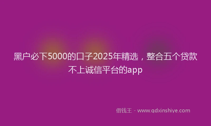 黑户必下5000的口子2025年精选，整合五个贷款不上诚信平台的app
