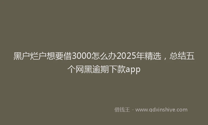 黑户烂户想要借3000怎么办2025年精选，总结五个网黑逾期下款app