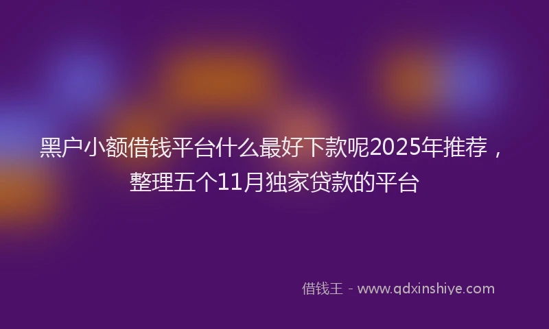 黑户小额借钱平台什么最好下款呢2025年推荐，整理五个11月独家贷款的平台