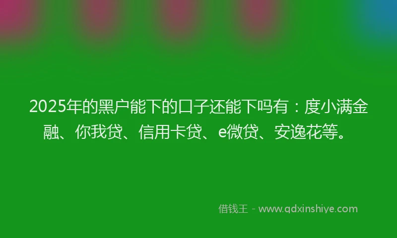 2025年的黑户能下的口子还能下吗有：度小满金融、你我贷、信用卡贷、e微贷、安逸花等。