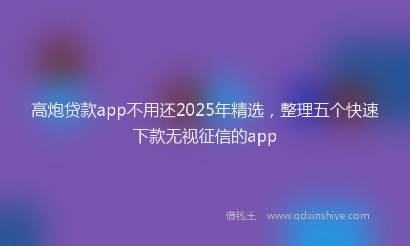 高炮贷款app不用还2025年精选，整理五个快速下款无视征信的app