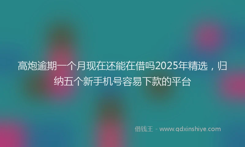 高炮逾期一个月现在还能在借吗2025年精选，归纳五个新手机号容易下款的平台