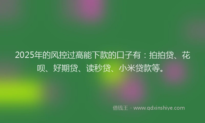 2025年的风控过高能下款的口子有：拍拍贷、花呗、好期贷、读秒贷、小米贷款等。