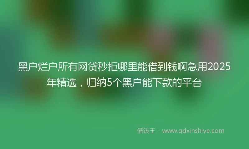黑户烂户所有网贷秒拒哪里能借到钱啊急用2025年精选，归纳5个黑户能下款的平台