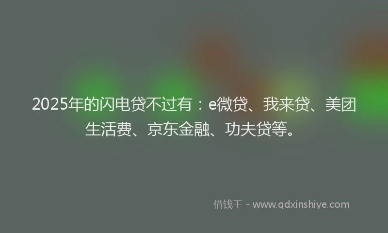 2025年的闪电贷不过有：e微贷、我来贷、美团生活费、京东金融、功夫贷等。