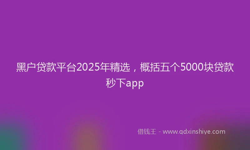 黑户贷款平台2025年精选，概括五个5000块贷款秒下app
