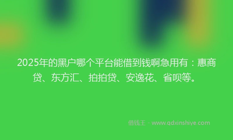 2025年的黑户哪个平台能借到钱啊急用有：惠商贷、东方汇、拍拍贷、安逸花、省呗等。
