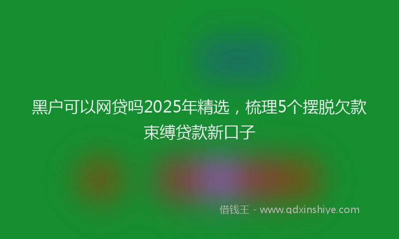 黑户可以网贷吗2025年精选，梳理5个摆脱欠款束缚贷款新口子