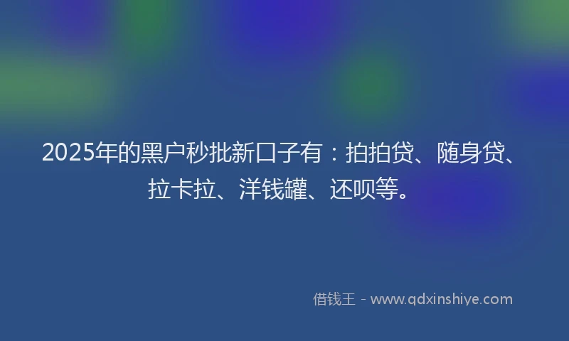 2025年的黑户秒批新口子有：拍拍贷、随身贷、拉卡拉、洋钱罐、还呗等。