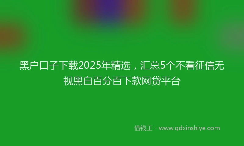 黑户口子下载2025年精选，汇总5个不看征信无视黑白百分百下款网贷平台