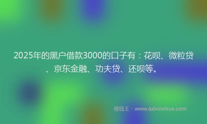 2025年的黑户借款3000的口子有：花呗、微粒贷、京东金融、功夫贷、还呗等。