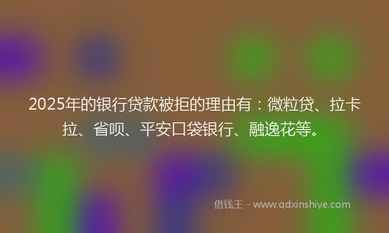 2025年的银行贷款被拒的理由有：微粒贷、拉卡拉、省呗、平安口袋银行、融逸花等。