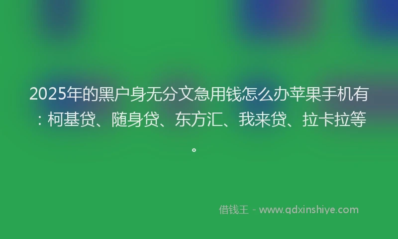 2025年的黑户身无分文急用钱怎么办苹果手机有：柯基贷、随身贷、东方汇、我来贷、拉卡拉等。