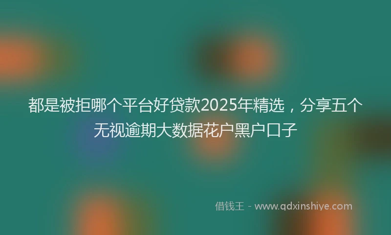 都是被拒哪个平台好贷款2025年精选，分享五个无视逾期大数据花户黑户口子