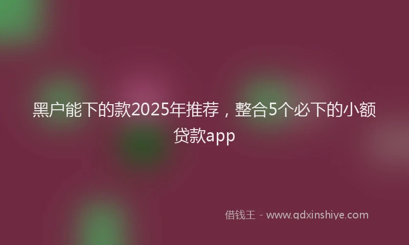 黑户能下的款2025年推荐，整合5个必下的小额贷款app