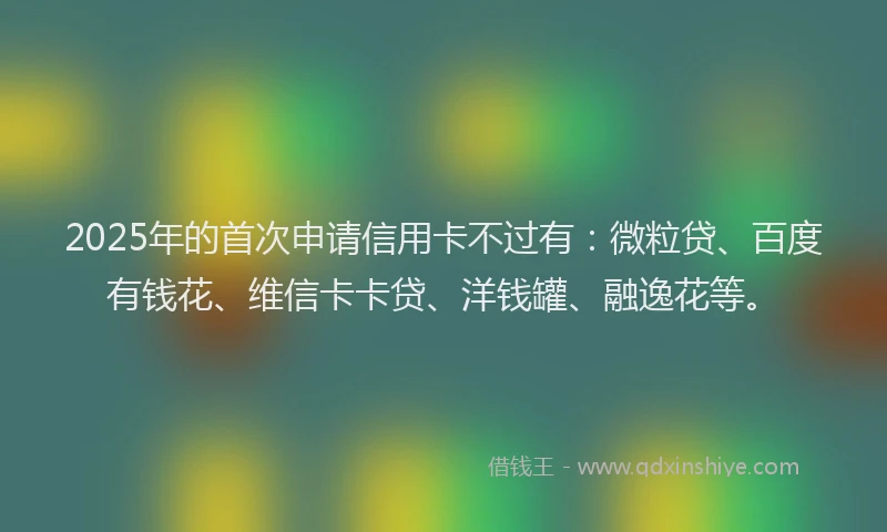 2025年的首次申请信用卡不过有：微粒贷、百度有钱花、维信卡卡贷、洋钱罐、融逸花等。