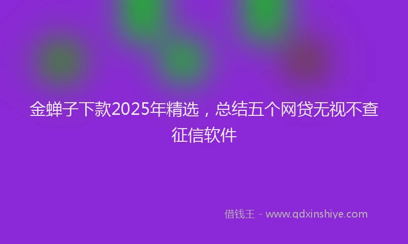 金蝉子下款2025年精选，总结五个网贷无视不查征信软件
