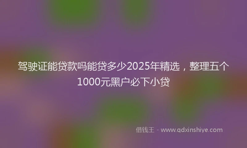 驾驶证能贷款吗能贷多少2025年精选，整理五个1000元黑户必下小贷