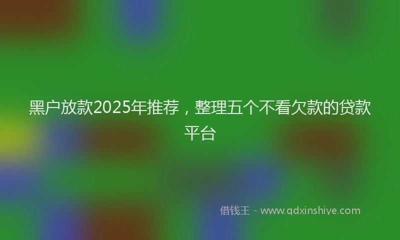 黑户放款2025年推荐，整理五个不看欠款的贷款平台
