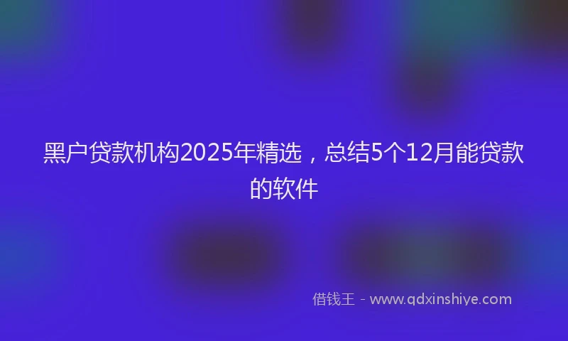 黑户贷款机构2025年精选，总结5个12月能贷款的软件