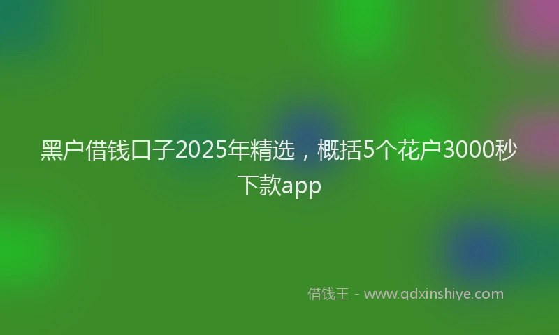 黑户借钱口子2025年精选，概括5个花户3000秒下款app