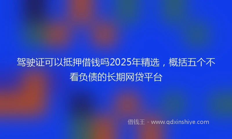 驾驶证可以抵押借钱吗2025年精选，概括五个不看负债的长期网贷平台