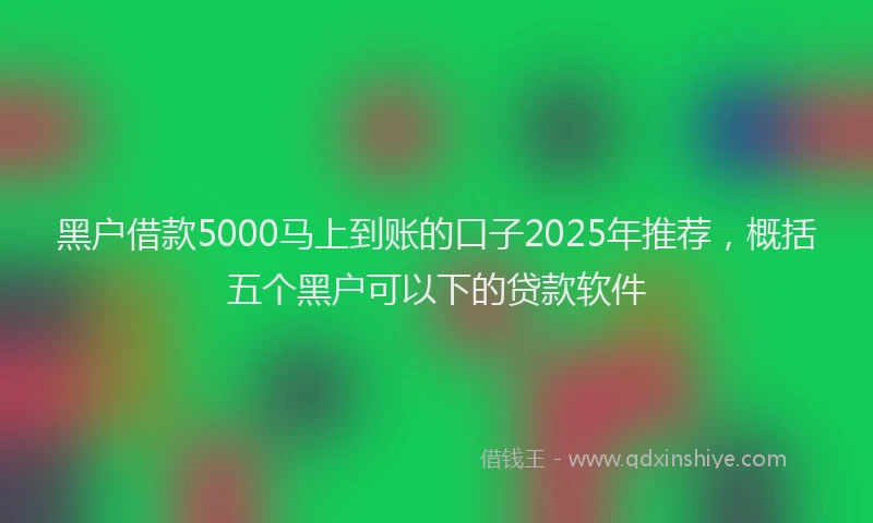 黑户借款5000马上到账的口子2025年推荐，概括五个黑户可以下的贷款软件