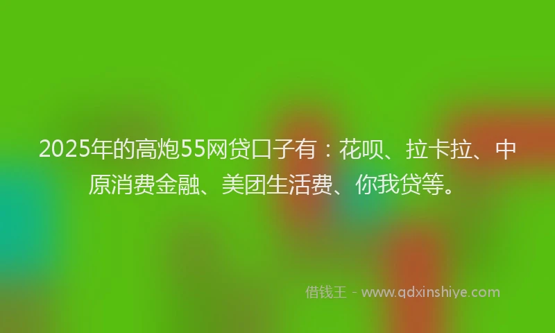 2025年的高炮55网贷口子有：花呗、拉卡拉、中原消费金融、美团生活费、你我贷等。